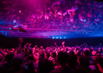 RIR:Confirma  Fuerza Bruta