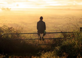 O que as palavras ACESSIBILIDADE E ACEITAÇÃO têm em comum?
