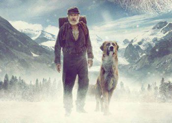 O Chamado da Floresta : uma adaptação de um livro clássico norte – americano