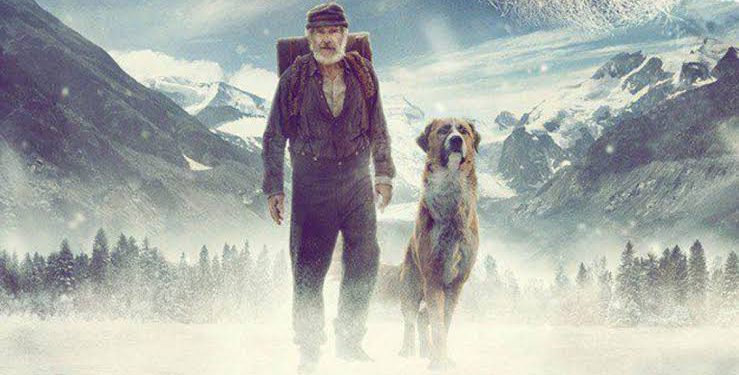 O Chamado da Floresta : uma adaptação de um livro clássico norte – americano