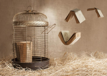 A Leitura pode reduzir a pena de presídios