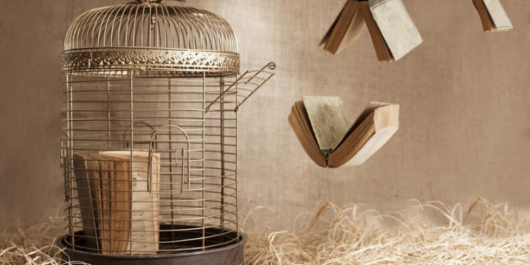 A Leitura pode reduzir a pena de presídios