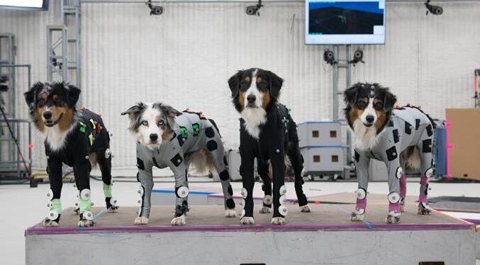 The Last of Us II – Amolecendo seu coração com os cães do jogo