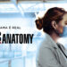 18ª temporada de Grey´s Anatomy ganha data de estreia no Sony Channel