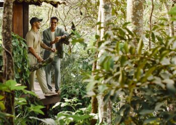 Natiruts Leva Fãs à Euforia com Terceiro Show Esgotado no Allianz Parque