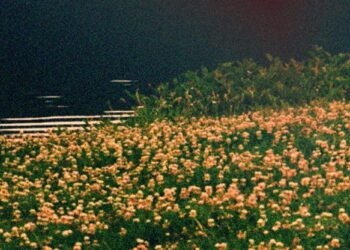 Lotzse Lança “O Trajeto é a Minha Obra” e Celebra a Esperança por Dias Melhores