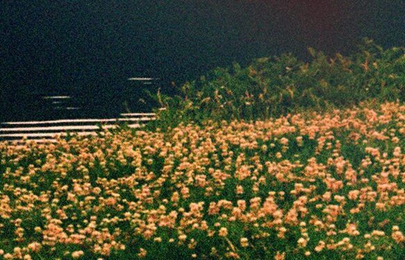 Lotzse Lança “O Trajeto é a Minha Obra” e Celebra a Esperança por Dias Melhores