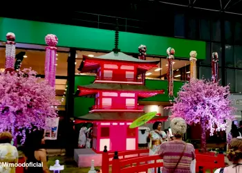 Rio Matsuri 2020: Veja o que rolou no primeiro dia do festival