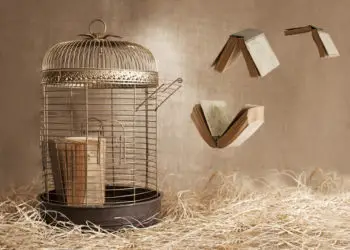 A Leitura pode reduzir a pena de presídios