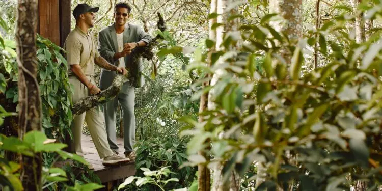 Natiruts Leva Fãs à Euforia com Terceiro Show Esgotado no Allianz Parque